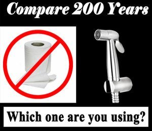 the bum gun vs toilet paper